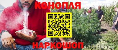 трава Краснодар