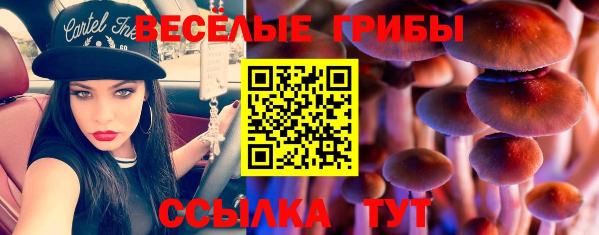 Галлюциногенные грибы ЛСД Лабытнанги